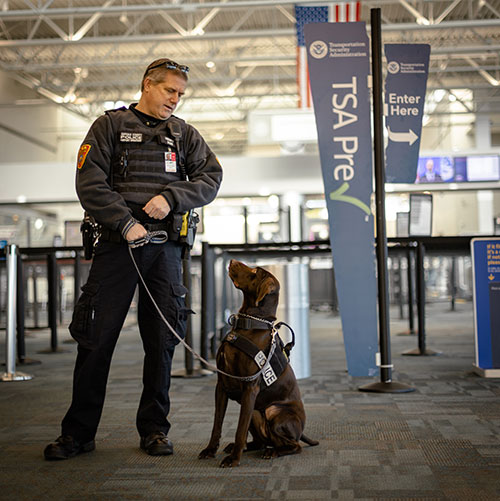 TSA agent looking at dog at security point